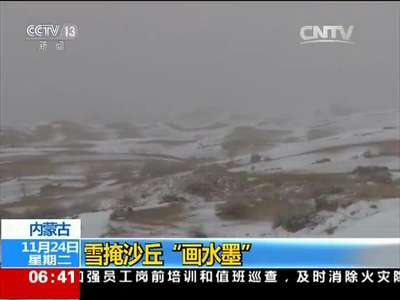 [视频]内蒙古：雪掩沙丘“画水墨”