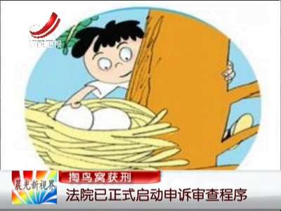 [视频]掏鸟窝获刑：法院已正式启动申诉审查程序