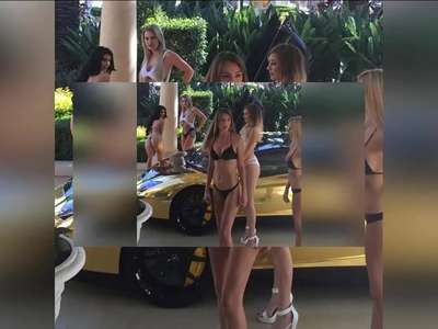 [视频]烟草大亨豪掷242万元办奢靡派对 安排大象看门 