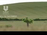 《再见了，我的雨林》