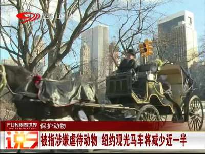 [视频]被指涉嫌虐待动物 纽约观光马车将减少近一半