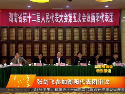 张剑飞参加衡阳代表团审议