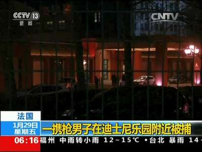 [视频]法国：一携枪男子在迪士尼乐园附近被捕