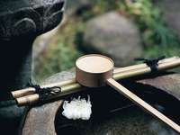 台湾大学-佛学概论与修行