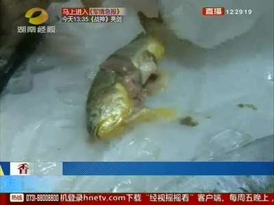 长沙：超市小黄鱼 肚中残留“药丸”
