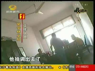 常宁一公职人员“公出”数年成私企高管