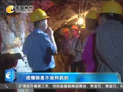 郴州：国际矿博会：科考·体验工矿文化
