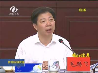 株洲：全力以赴抓项目 确保实现“双过半”