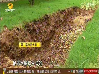 长沙打造首条“海绵城市”绿化道路