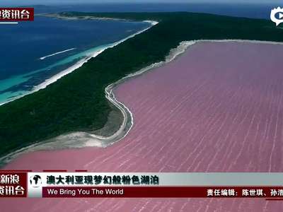 [视频]航拍澳大利亚梦幻般粉红色湖泊 艳若桃花
