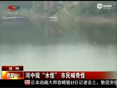 [视频]实拍达州河中现“水怪” 探出头引起巨大水纹