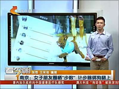 [视频]女子朋友圈晒“步数”计步器绑狗腿上