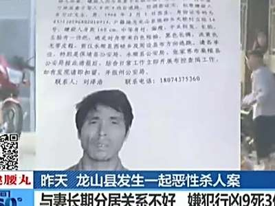 [视频]湘西龙山凶杀案：嫌犯行凶9死3伤 与妻长期分居关系不好 