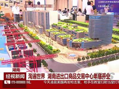 湖南：淘遍世界 湖南进出口商品交易中心年底开业