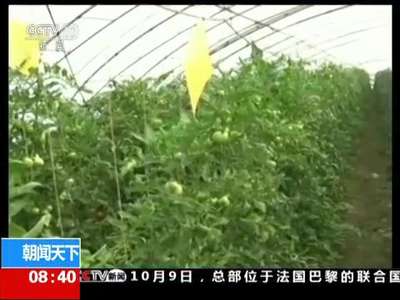 [视频]农业部：推广绿色增产技术 减少农药使用