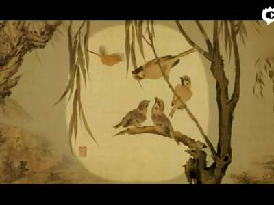 [视频]中国动画逆袭！《美丽的森林》入围奥斯卡初选