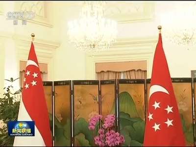 [视频]张高丽访问新加坡并主持中新双边合作机制会议
