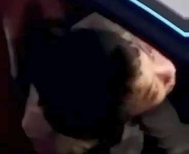 [视频]实拍玛莎拉蒂路边撞护栏 司机车内抽搐翻白眼