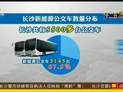 湖南“十二五”TOP指数·全球电动大巴制造“巨无霸”