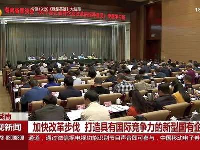 湖南：加快改革步伐 打造具有国际竞争力的新型国有企业