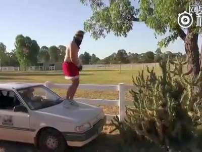 [视频]不作不会死！逗比男子赤膊上身跳进仙人掌里