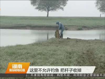 岳阳：整治湿地环境 还候鸟一片天地