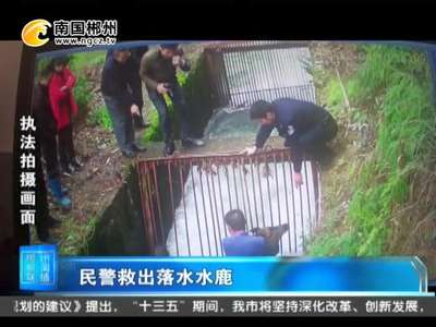 郴州：民警救出落水水鹿