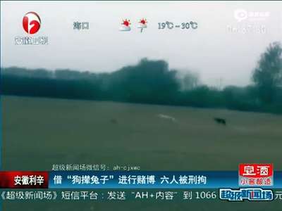 [视频]实拍安徽狗撵兔子赌博 过程暴力引村民围观