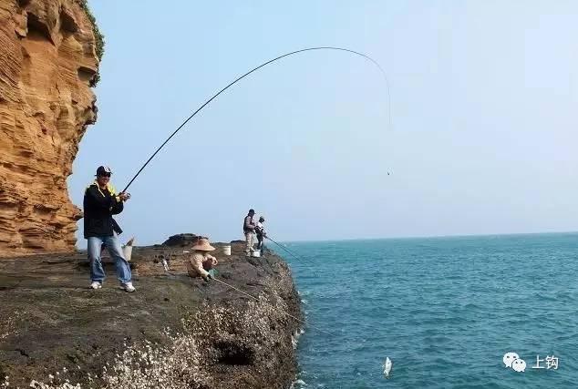 课堂·海钓︱避免鱼吞钩太深,矶钓黑鲷杀竿也