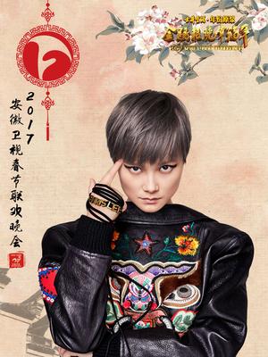 安徽卫视2017春晚