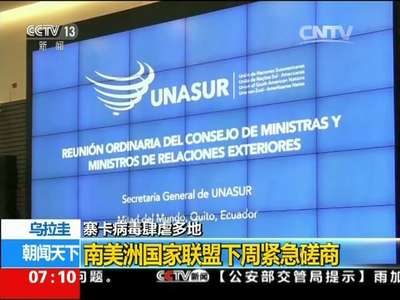 [视频]寨卡病毒肆虐多地 美国：孕妇谨慎出行 民众要防蚊虫叮咬