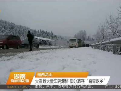 湘西龙山 大雪致大量车辆滞留 部分旅客“踏雪返乡”