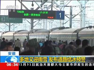 [视频]多地降雪 交通出行受影响