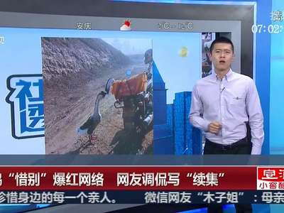 [视频]两鹅“惜别”爆红网络 网友调侃写“续集”