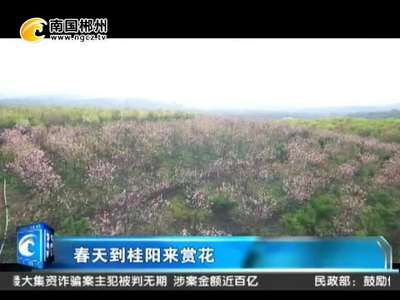 郴州：春天到桂阳来赏花