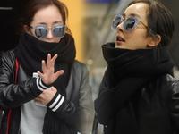 杨幂穿皮衣现身机场