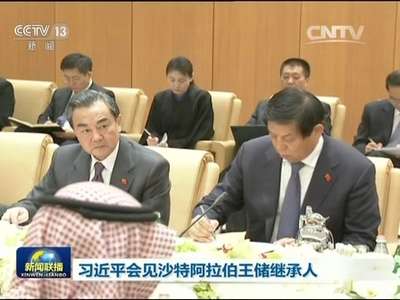 [视频]习近平会见沙特阿拉伯王储继承人