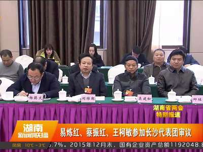 易炼红、蔡振红、王柯敏参加长沙代表团审议