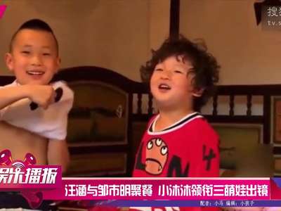 [视频]汪涵与邹市明聚餐 小沐沐领衔三萌娃出镜