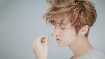 MV频道春节精选