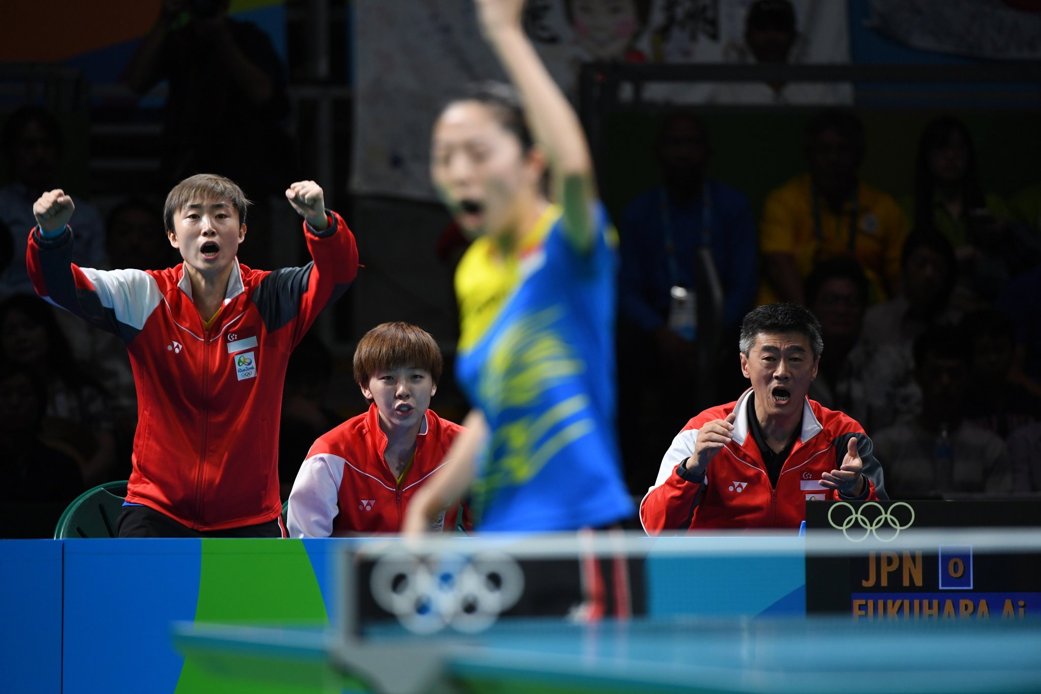 中国制造乒球运动员呈现象级 38人代表外国