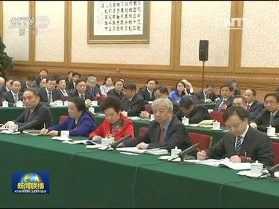 [视频]习近平参加湖南代表团审议