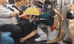 无力吐槽脑洞大开的街头恶作剧