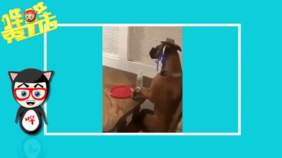 碉堡了！美女刷牙污到没朋友