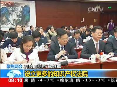 [视频]聚焦两会：两会同期声 调动创新积极性 保障创新成果