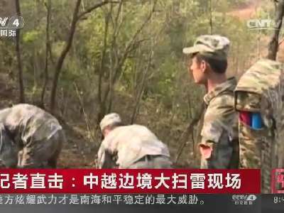 [视频]记者直击：中越边境大扫雷现场