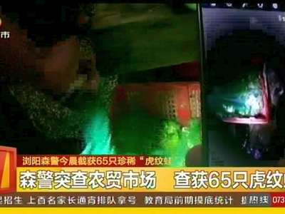 浏阳森警截获65只珍稀“虎纹蛙”