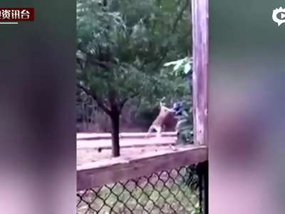 [视频]美动物园上演人鼠大战 饲养员战败求助游客