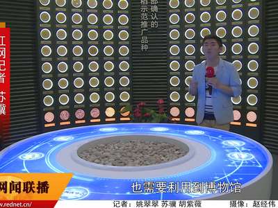 探访隆平水稻博物馆：高科技互动带来观感新体验