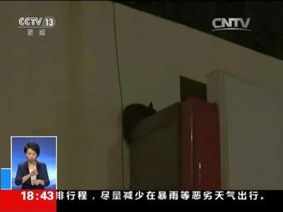 [视频]吉林：凌晨时分 居民楼内“熊出没”